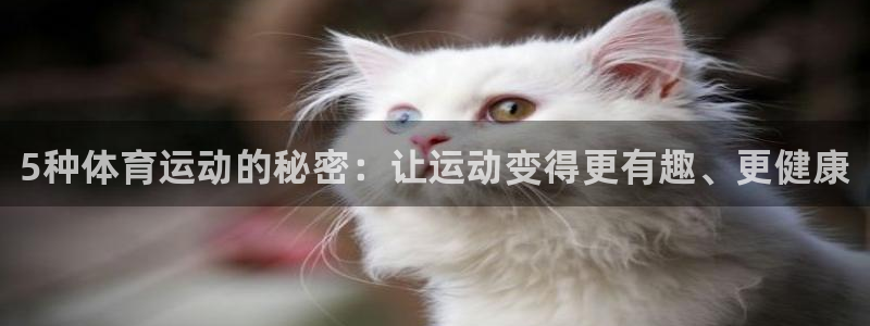 MK体育官方正版app集团：5种体育运动的秘密：让运