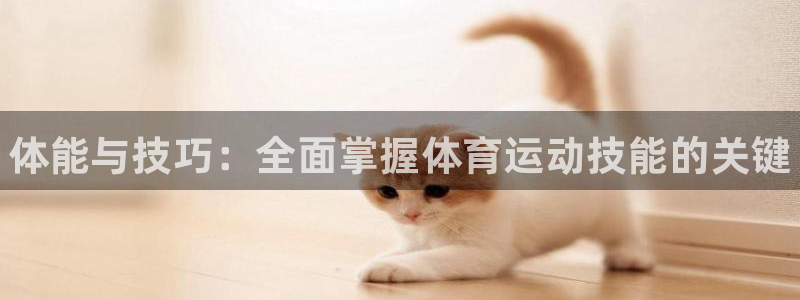 注册MK体育官方正版app：体能与技巧：全面掌握体育
