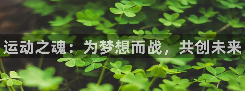 MK体育官方正版app五金厂：运动之魂：为梦想而战，