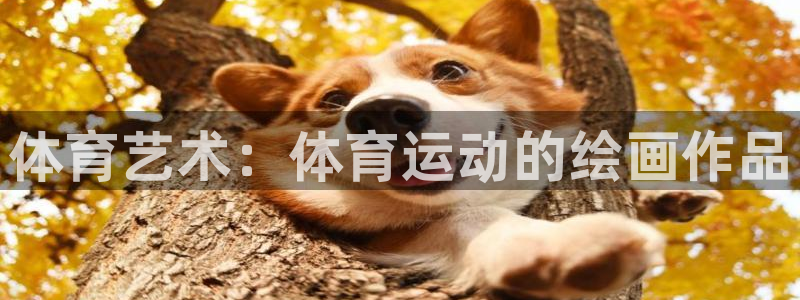 MK体育官网下载招商电话号码是多少啊：体育艺术：体育