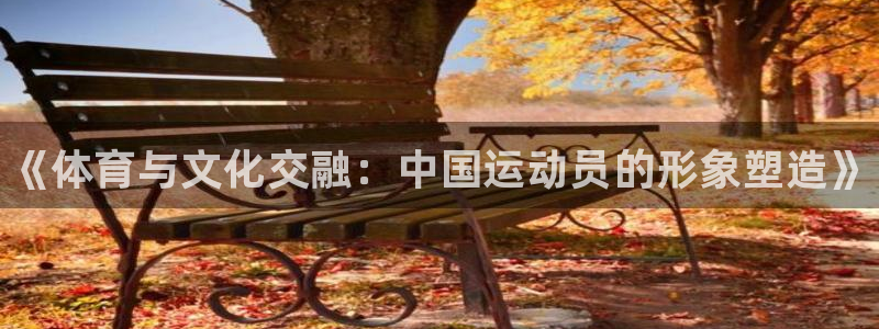 MK体育官网下载招商电话地址是多少：《体育与文化交融