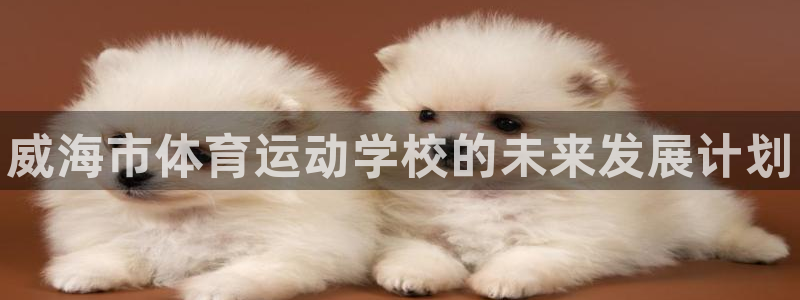 MK体育官方正版app集团官网首页：威海市体育运动学