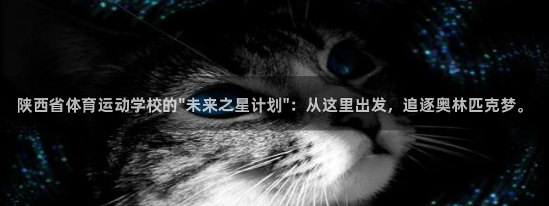 MK体育官网下载是干嘛的公司：陕西省体育运动学校的\