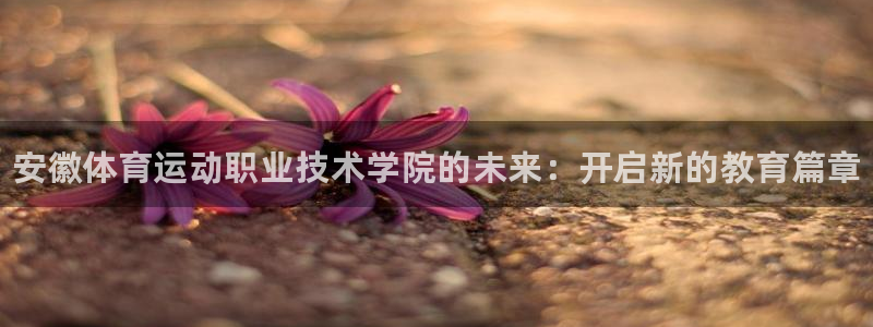 MK体育官网下载招商电话：安徽体育运动职业技术学院的未来：开