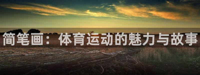 MK体育官方正版app集团logo：简笔画：体育运动的魅力与
