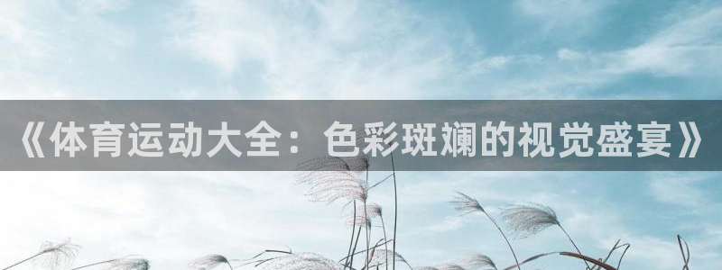 MK体育官方正版app新能源：《体育运动大全：色彩斑斓的视觉