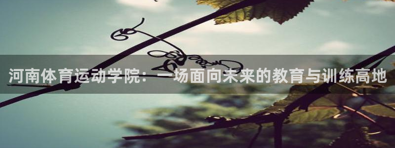 MK体育官方正版app集团