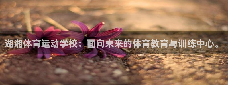 MK体育官方正版app新能源：湖湘体育运动学校：面向