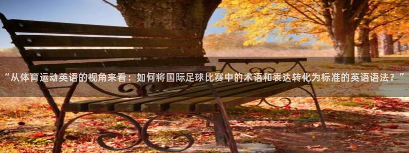 德国MK体育官方正版app集团