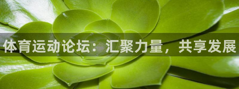 MK体育官方正版app娱乐网站：体育运动论坛：汇聚力量，共享