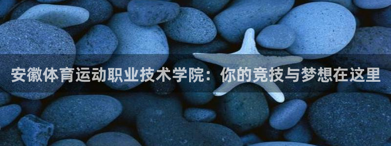 MK体育官方正版app集团官网网址：安徽体育运动职业技术学院