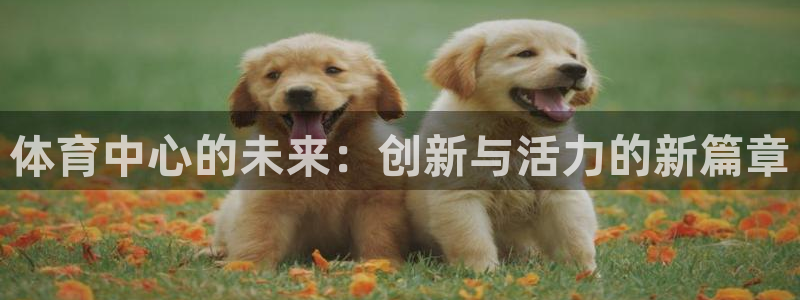 MK体育官网下载平台注册要钱吗：体育中心的未来：创新与活力的