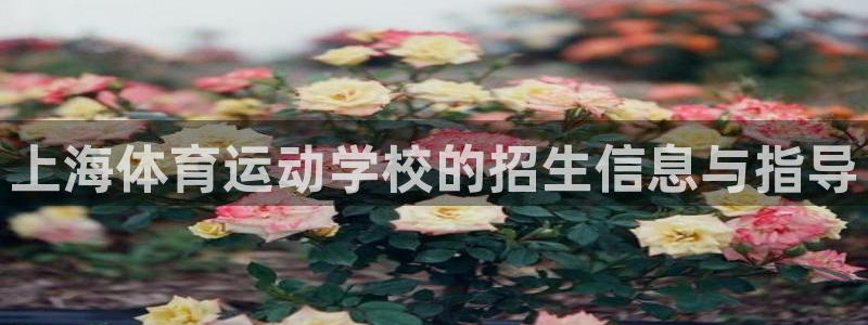 MK体育官方平台体育：上海体育运动学校的招生信息与指导