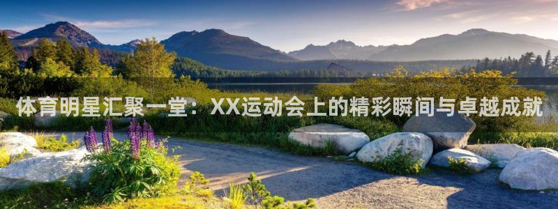 MK体育官网下载联系电话：体育明星汇聚一堂：XX运动会上的精