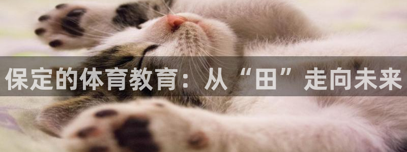 MK体育官方正版app五金厂：保定的体育教育：从“田