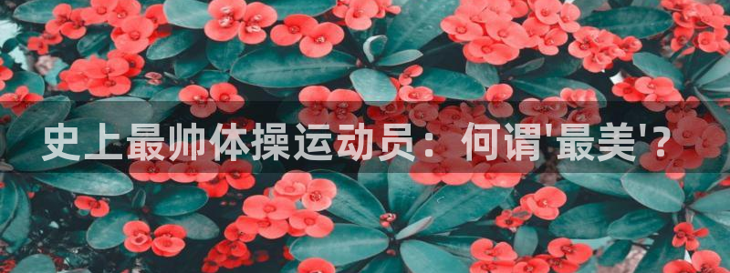 MK体育官方正版app集团logo：史上最帅体操运动