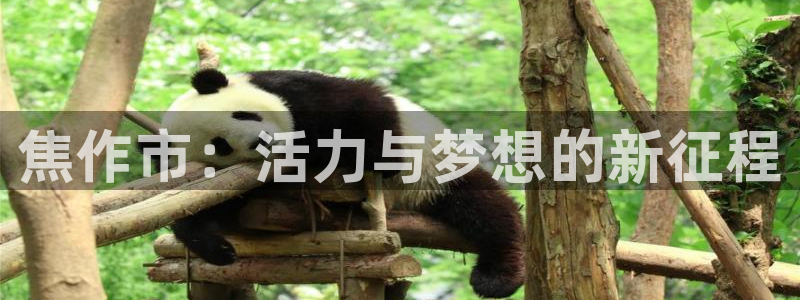 MK体育官方正版app集团官网网址：焦作市：活力与梦