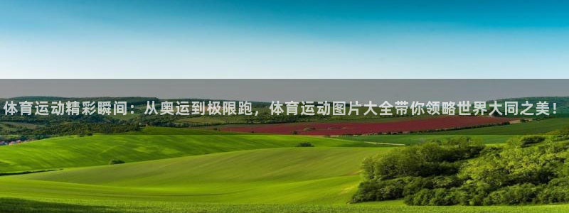 MK体育官方正版app集团E.ON：体育运动精彩瞬间