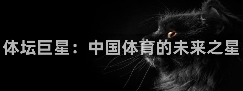 MK体育官方正版app集团官网首页网址：体坛巨星：中