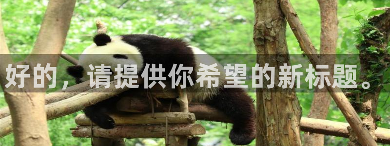 MK体育官方正版app五金厂：好的，请提供你希望的新标题。
