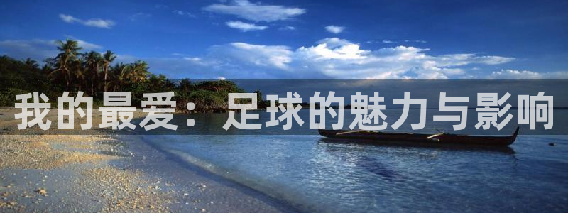 MK体育官方正版app新能源：我的最爱：足球的魅力与影响