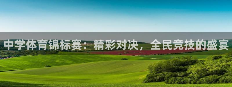 MK体育官网下载平台是正规平台吗知乎：中学体育锦标赛