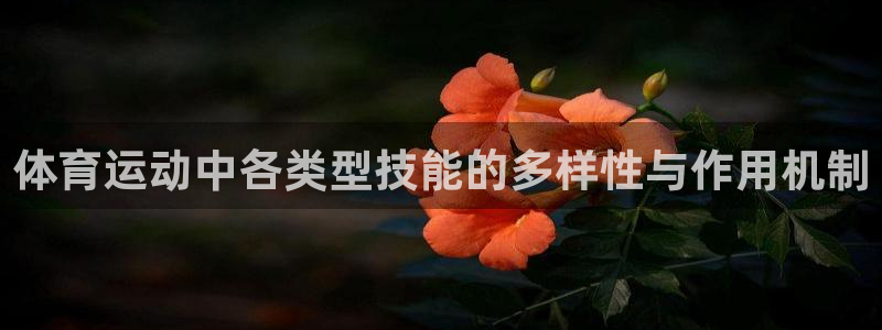 MK体育官网下载软件：体育运动中各类型技能的多样性与作用机制