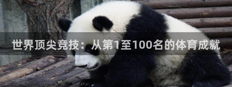 MK体育官网下载平台：世界顶尖竞技：从第1至100名