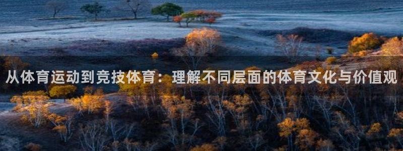 MK体育官方正版app娱乐代理怎么样：从体育运动到竞技体育：