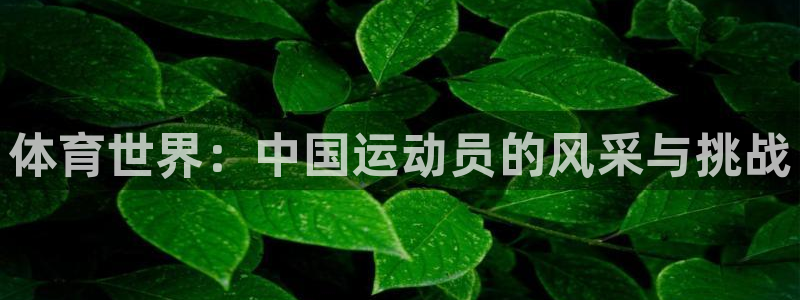 MK体育官网下载平台是正规平台吗安全吗