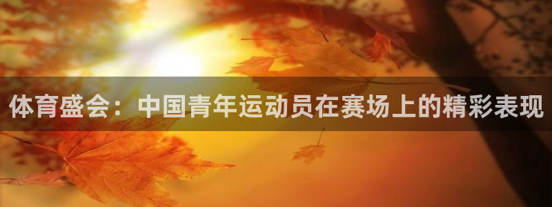 mk体育是哪个旗下的公司：体育盛会：