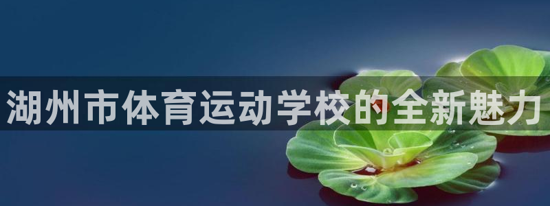 mk体育提现多久到账啊：湖州市体育运
