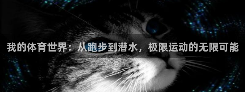 MK体育：我的体育世界：从跑步到潜水