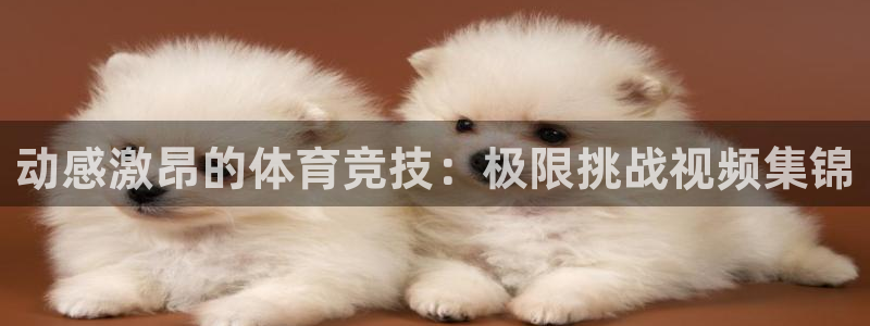 mk体育提现多久到账啊安全吗知乎文章