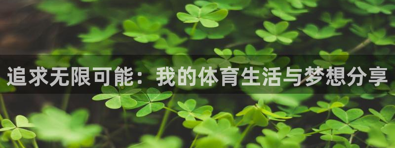 mk体育系列平台：追求无限可能：我的