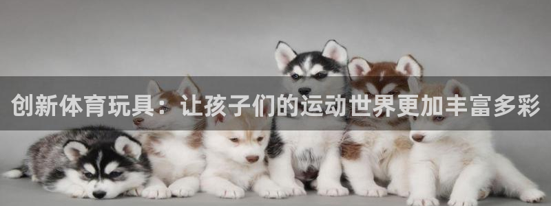 MK体育场：创新体育玩具：让孩子们的运动世界更加丰富多彩