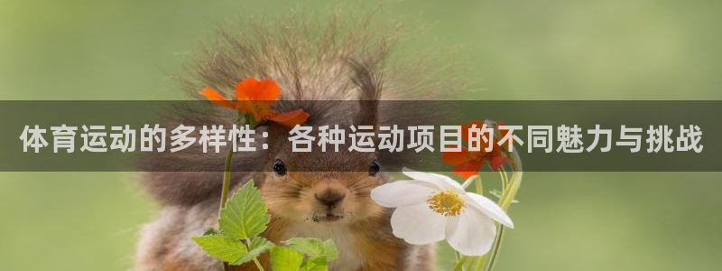 mk体育下载：体育运动的多样性：各种运动项目的不同魅力与挑战