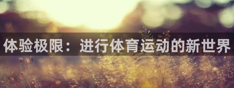 mk体育为什么这么黑：体验极限：进行体育运动的新世界