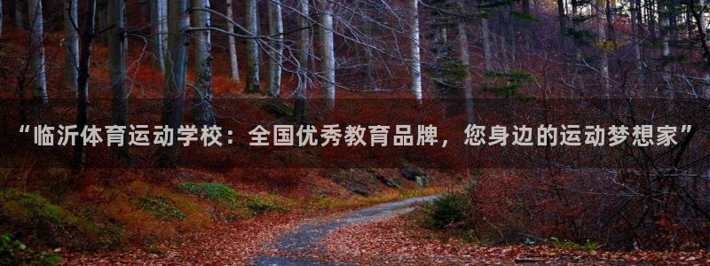 MK体育官方正版app娱乐是那个系列的台子：“临沂体育运动学