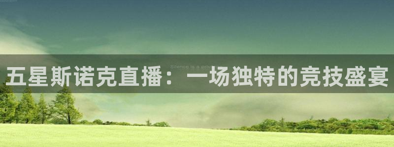 178篮球直播