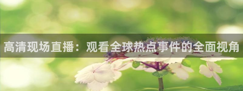 178足球直播免费观看：高清现场直播：观看全球热点事件的全面视角