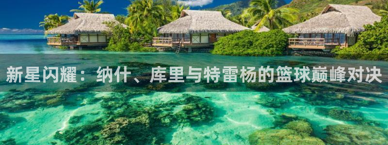 足球178直播在线直播观看免费：新星闪耀：纳什、库里与特雷杨的篮球巅峰对决